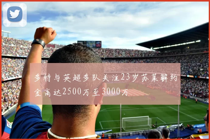 多特与英超多队关注23岁苏莱解约金高达2500万至3000万